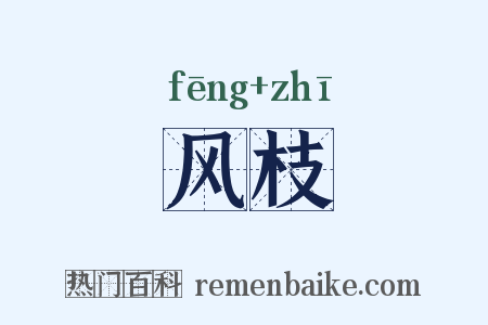 风枝是什么意思的图片
